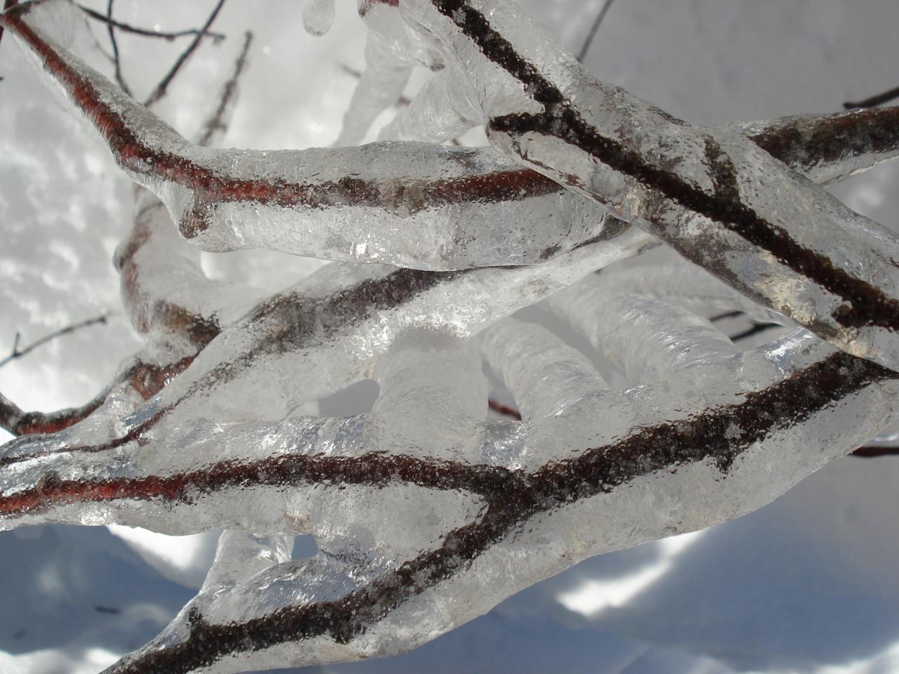 la glace et le bois